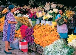 markets oaxaca